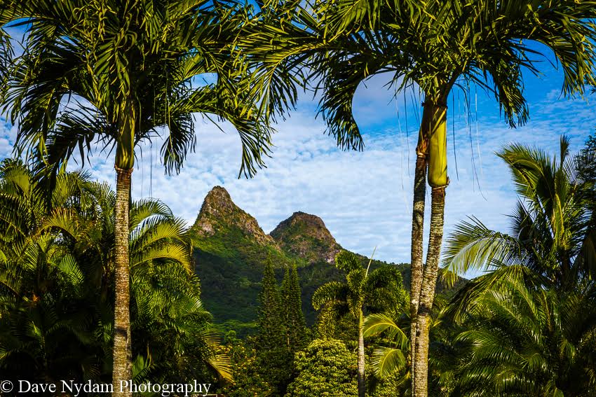 Photo Of The Week: “Jurassic” by <a href="/DaveNydamPhoto/">DaveNydamPhotography</a>.
Learn more, visit  davenydam.com #fineartphotography #landscapephotograper