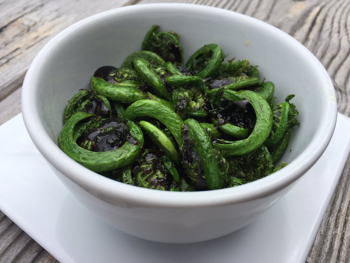 pickled_wrinkle's tweet photo. Wild fiddleheads on special! Bobbi Lane at five! #thepickledwrinkle #downeast #fiddleheads #themainething https://t.co/bUPenScHfP