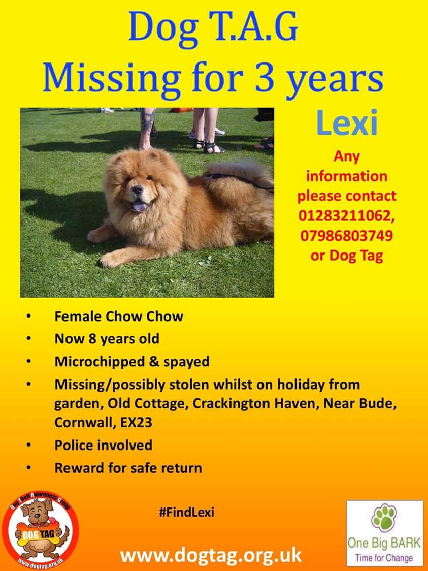 Pamela Moretta tweet media