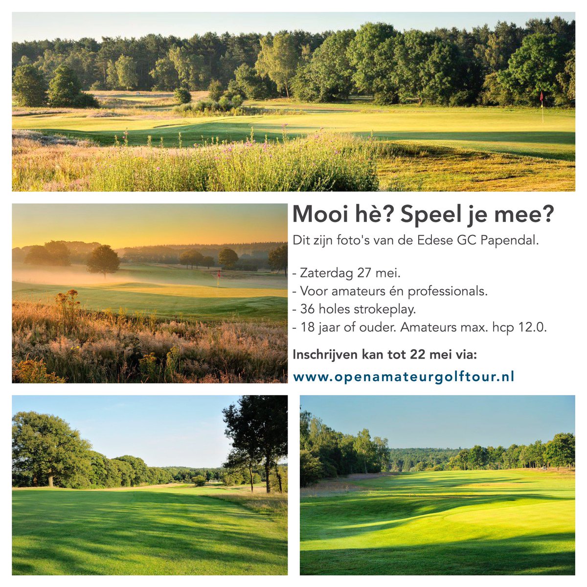 Open Golf Tour tweet media