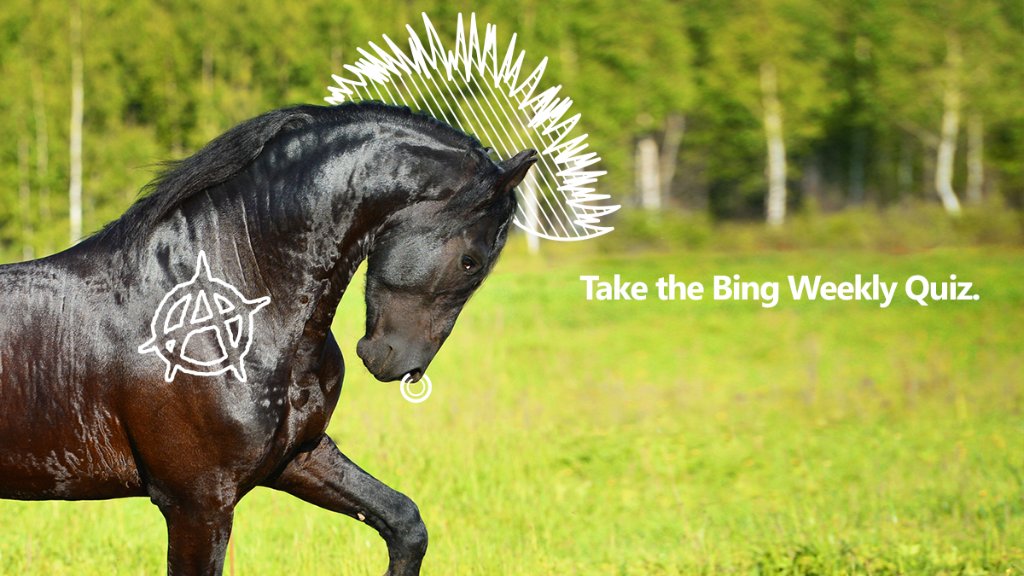 Learn what this horse needed to get off its back in the #BingSearchTrends quiz: http://www.bing.com/search?q=bing%20trends%20quiz&FORM=MH14G1&OCID=MH14G1&wt.mc_id=MH14G1