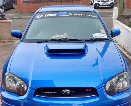 fflatfour's tweet photo. #fflat #four #subaru #impreza #sunstrip @fflatfour https://t.co/yZbXPiMI1C