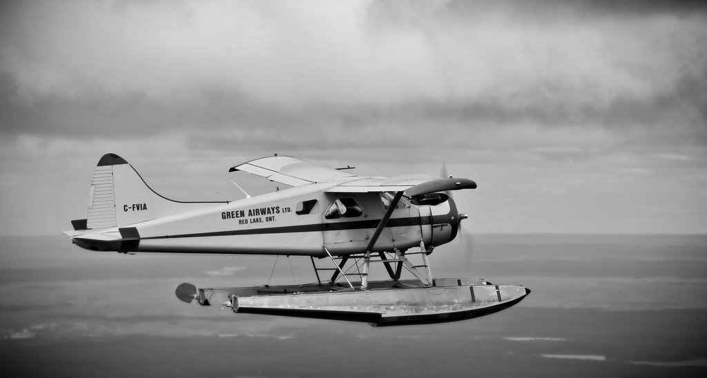 Matthew Nonnenmann tweet media