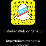 Photo by Tributari Web (@TributariWeb)
