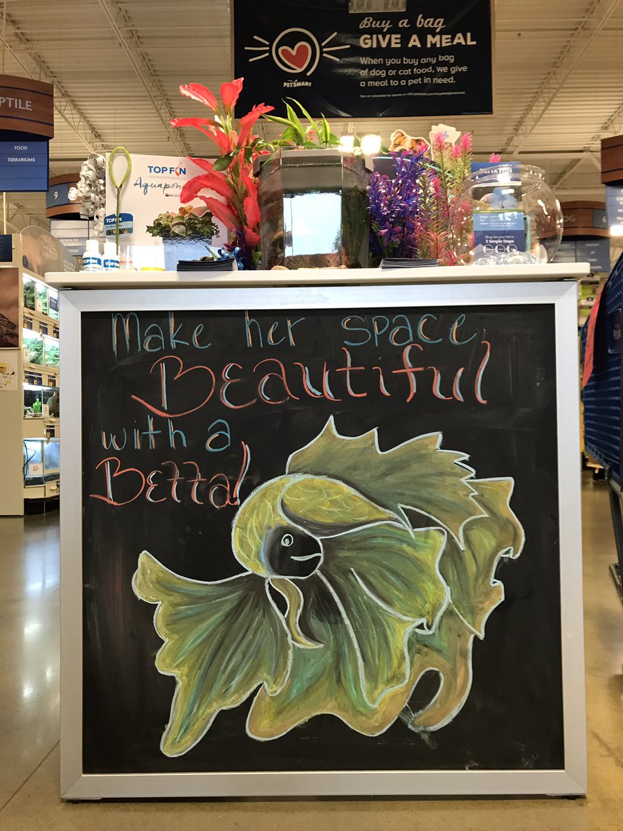 glenn_gulley's tweet photo. #momwantsabetta https://t.co/B6JP1yhXum