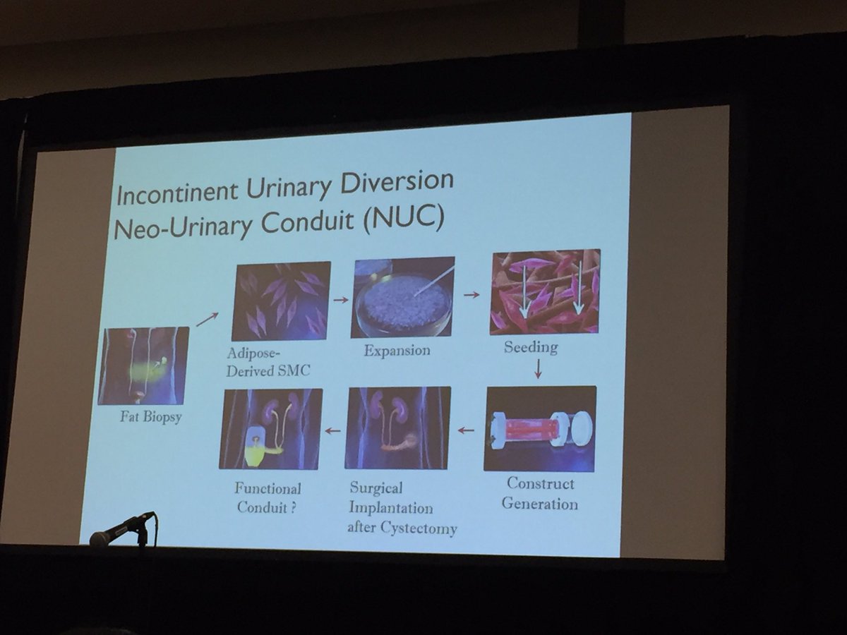 Nikolai Sopko tweet media