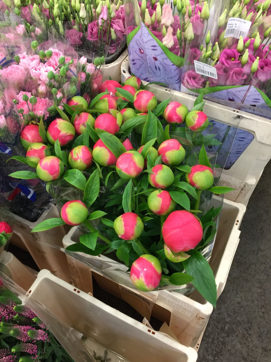 thebloomfactory's tweet photo. New Blog Post - ensuring quality is kept high - our ongoing programme of improvement. https://t.co/L3VVz0TQnF #flowers #bouquets https://t.co/KX6lsLGEF5