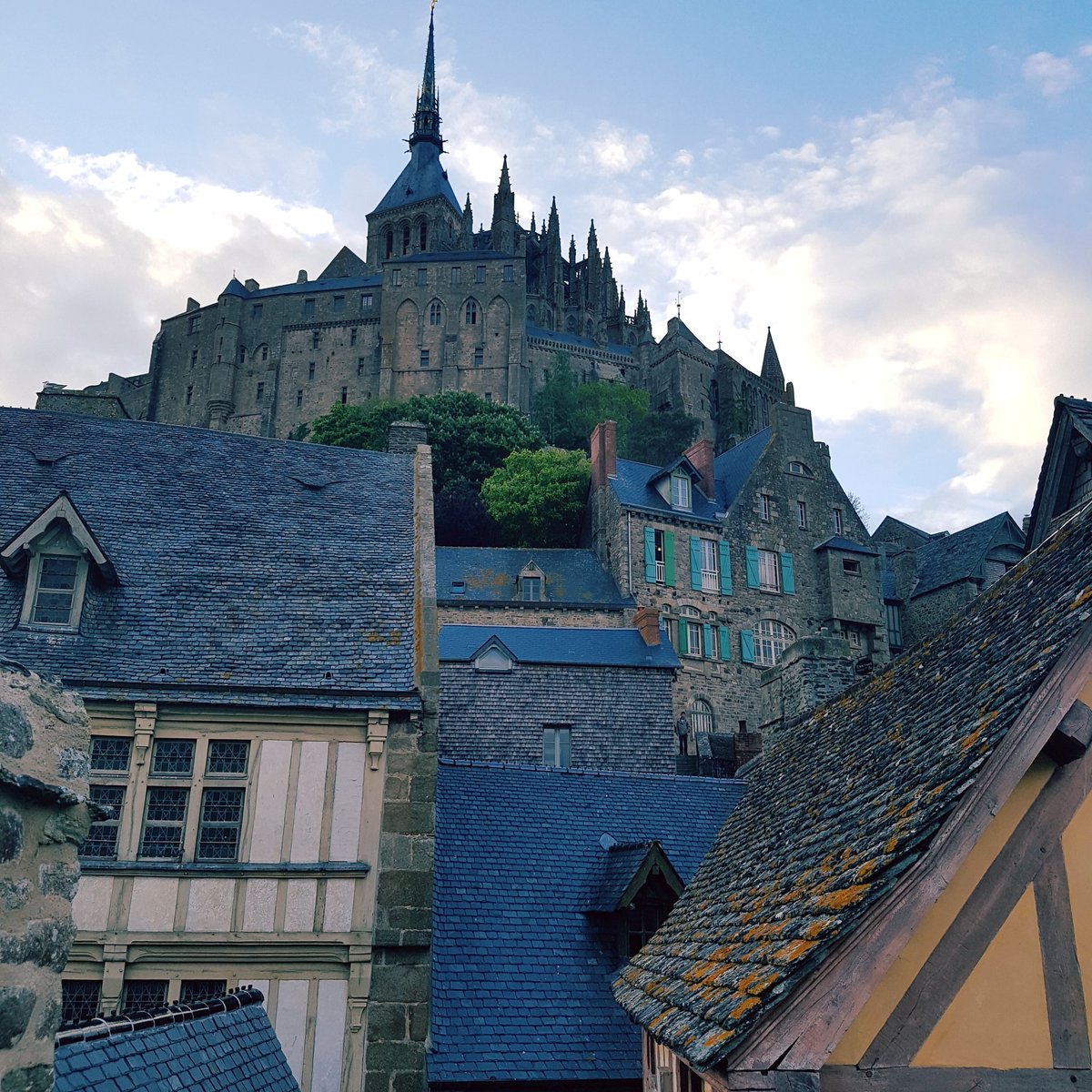 Simona Loizzo (@simonaloizzo) on Twitter photo 