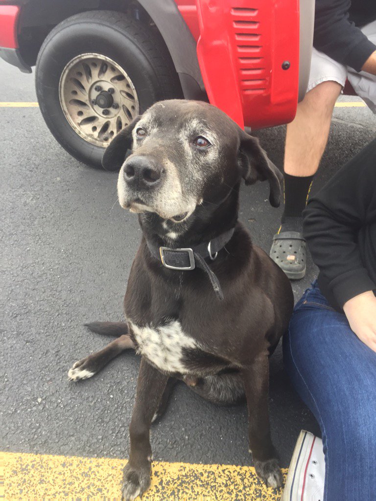 This little guy is currently in the high school parking lot. Does anybody recognize him?!