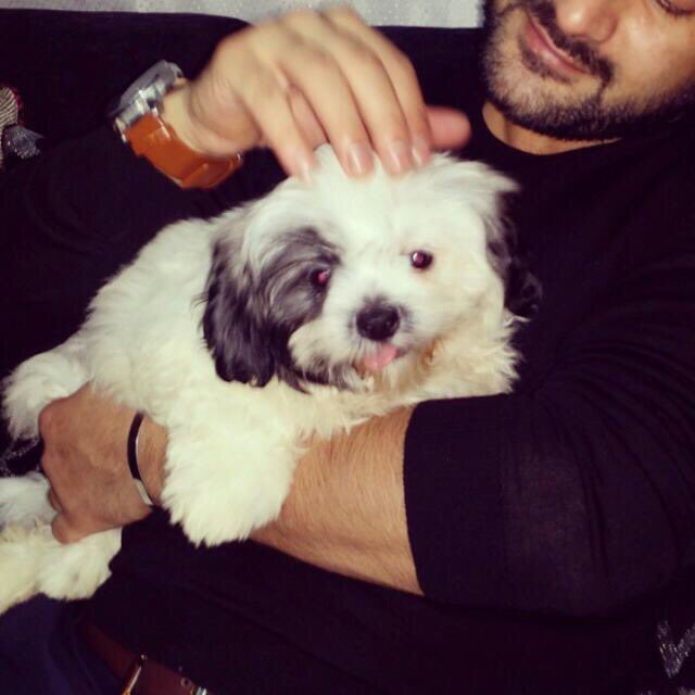 ridanson's tweet image. 