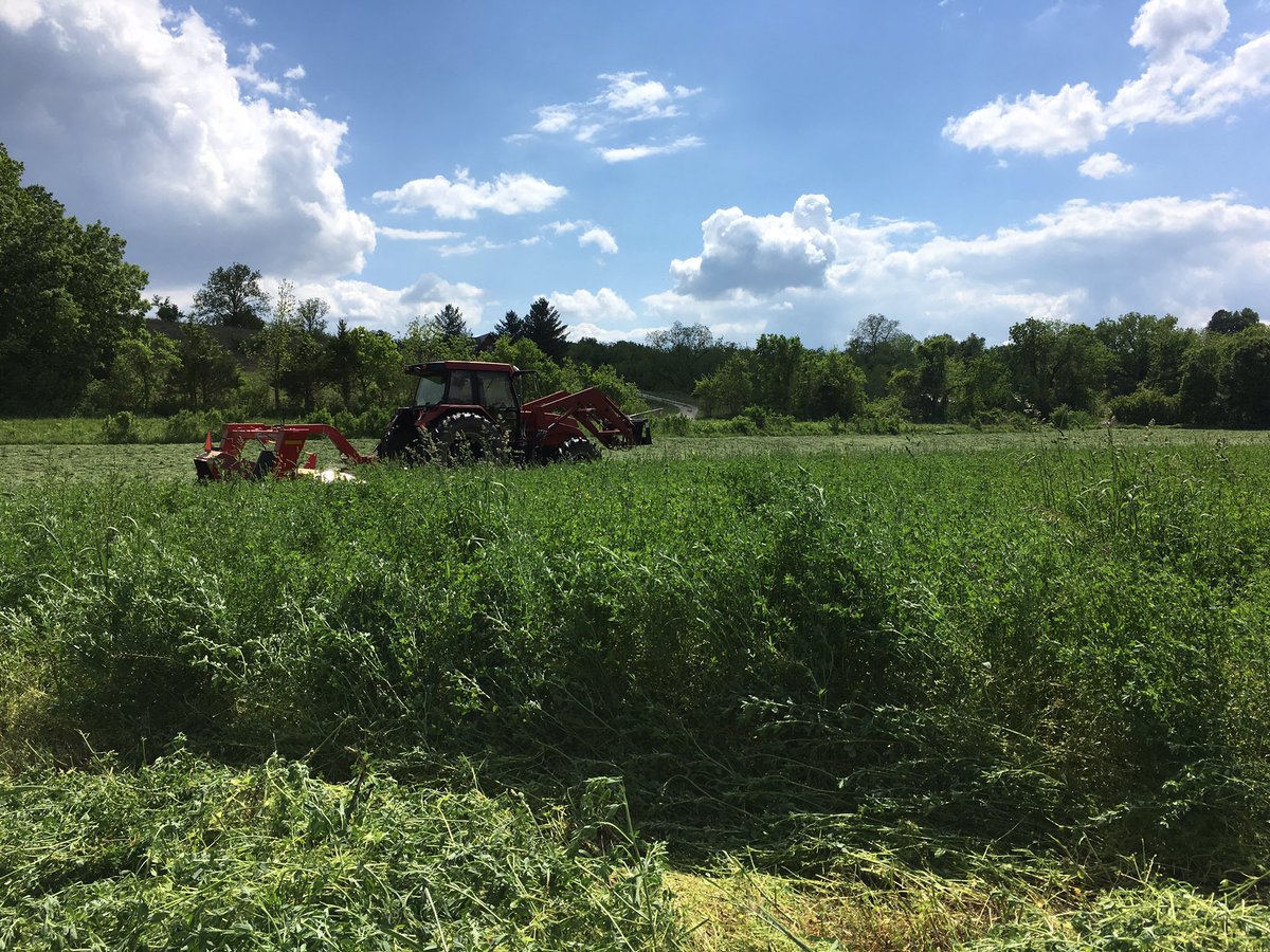 dennis_vollrath's tweet photo. #NutriTrack alfalfa/orchard grass going down today @MFA_PrecisionAg https://t.co/hRLbFjMnA7