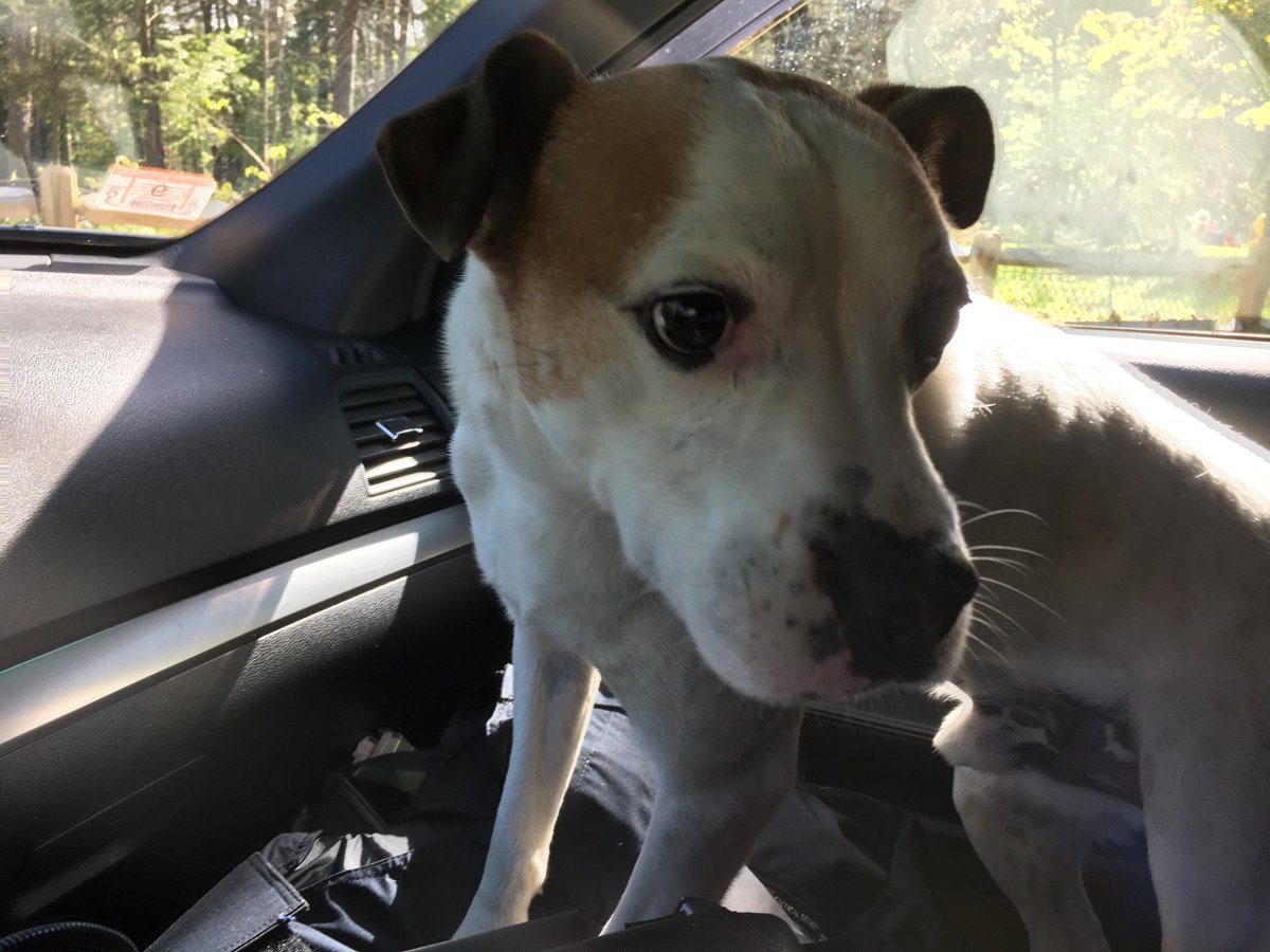 Boxford Police tweet media