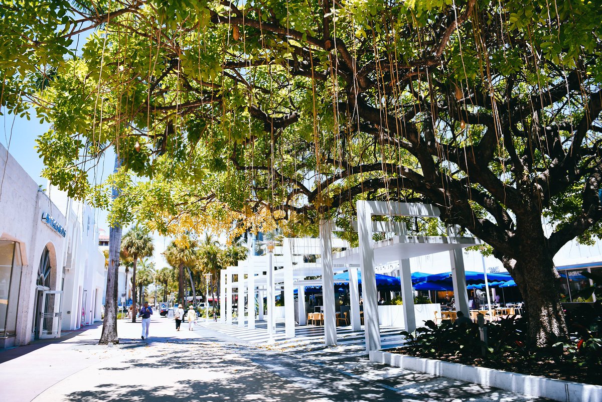 MiamiBeachNews's tweet image. It's a good day to have a good day. Happy Friday 🌴