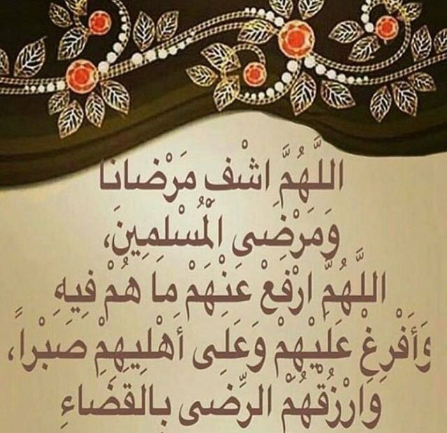 mnorlo's tweet photo. https://t.co/Dyxh5W519H