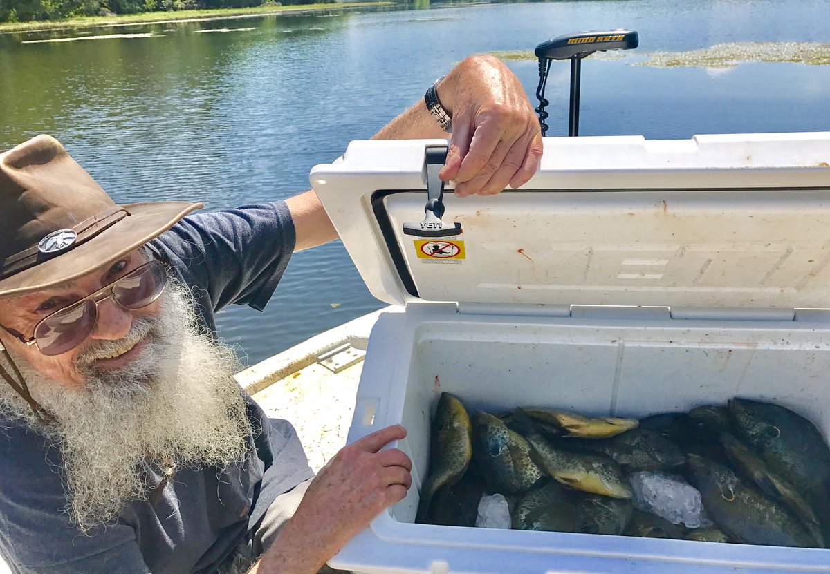 stoneduckman's tweet photo. @MinnKotaMotors talons make fishing bream beds easy. Time to get that grease hot!@FinCommander @BnMPoles https://t.co/lI6BjgYHFi