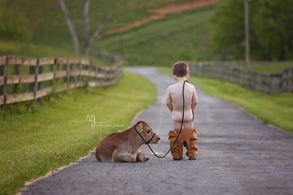 stock_show_kids's tweet photo. Cuteness overload😍😭 https://t.co/89qTtPTprL