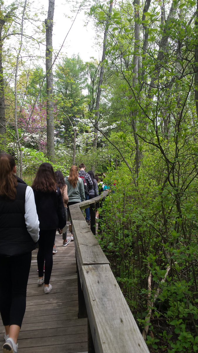 OpenVPPx's tweet image. More scenes #PROJECTTREE