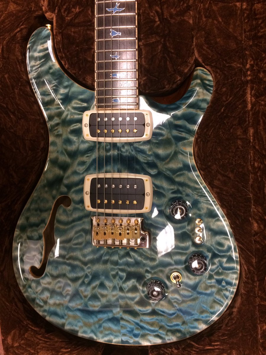 Gearsecure's tweet image. Guitar of the day. Check out this top. #endgeartheft