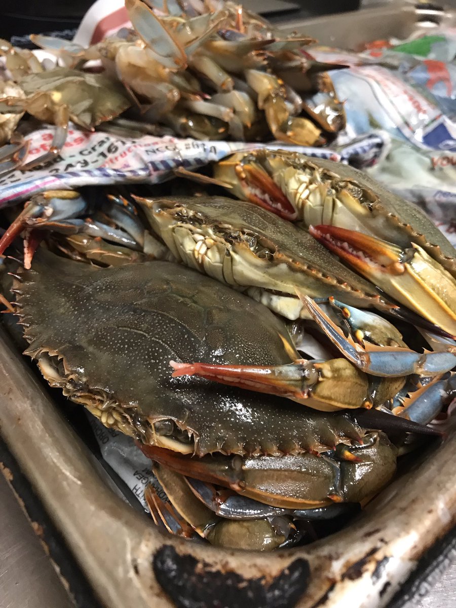 [SOFTSHELLS] Being grit-crusted and served with bottarga and rosé bbq sauce tonight. #springmenu #changeisgood #zagatchefstowatch