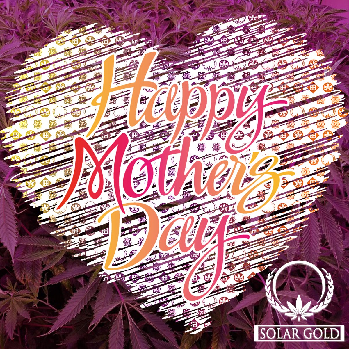 TeamSolarGold's tweet image. Don't forget to hit the bong with mom this weekend! Team Solar Gold wanted to wish all the mothers an early #HappyMothersDay