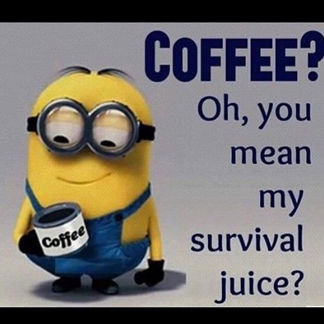 HappyCoffee_Tea's tweet photo. A survival juice that tasted coffee. #CoffeeIsLife #CoffeeLover https://t.co/kr8wL21weE