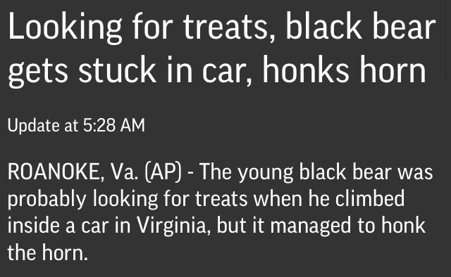 I'm sick of these constant bear attacks! It's like a freakin Country Bearjambaroo around here!