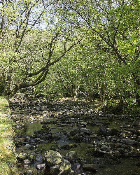 Turbogirlie's tweet photo. A nice spot for lunch. #igerswales #Dolgellau #snowdonianationalpark #CadairIdris #PonyPath #walk1000miles2017 https://t.co/BSMcBK8weh https://t.co/QVNt5oDQuc