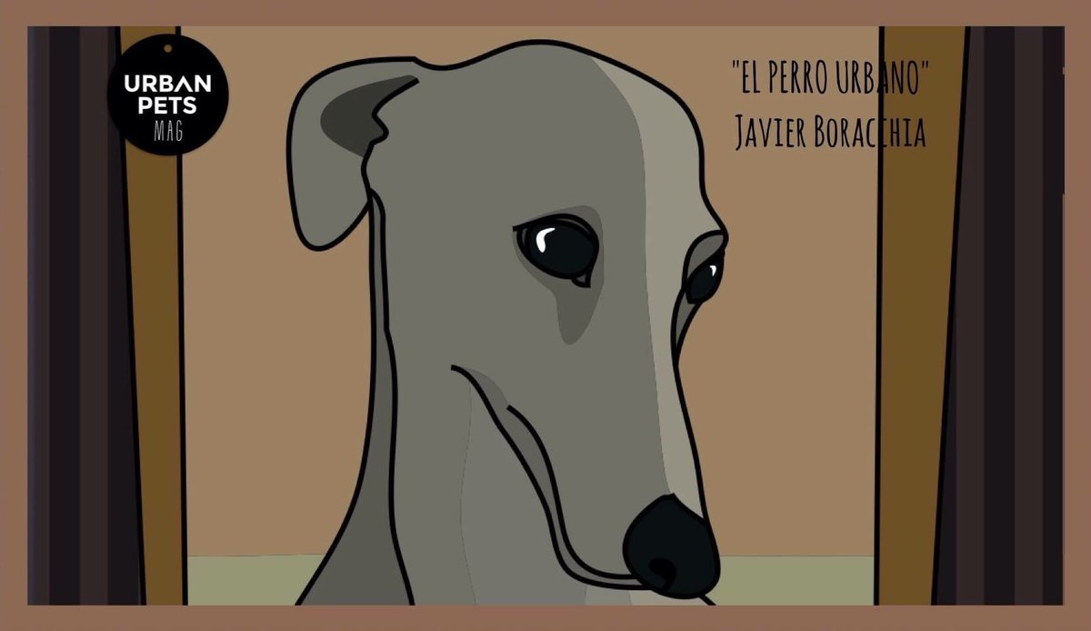 UrbanPetsMag's tweet photo. ❤️¡UNA SENSACIÓN INDESCRIPTIBLE...!🐕
La columna multi-mediática @elperrourbano 
Leela en➡️ https://t.co/mBJJtk2yeJ https://t.co/yt5f2ah06j