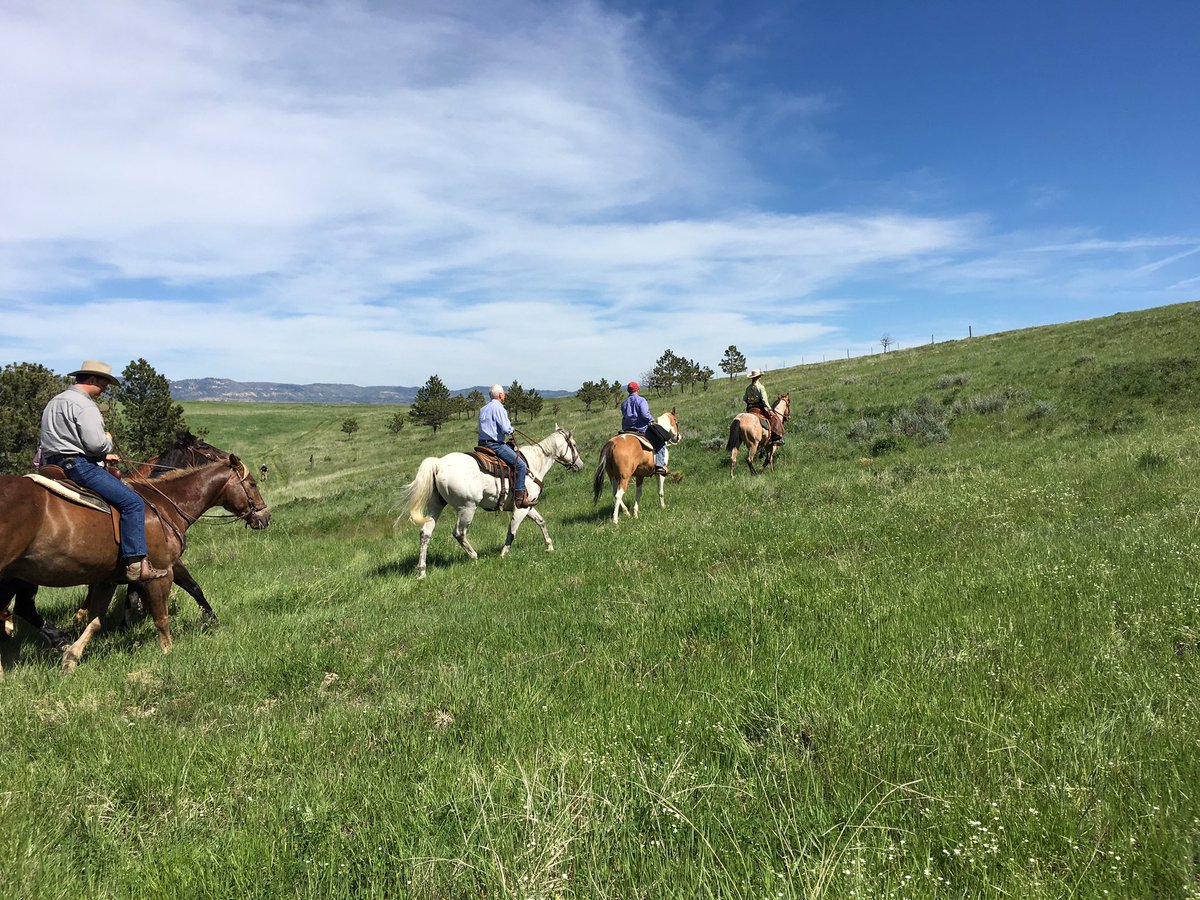 VP45's tweet image. Thank you to Crow Nation tribal leaders for an incredible horseback tour of Absaloka Mine with @SteveDaines &amp;amp; @SecretaryZinke. #VPinMT