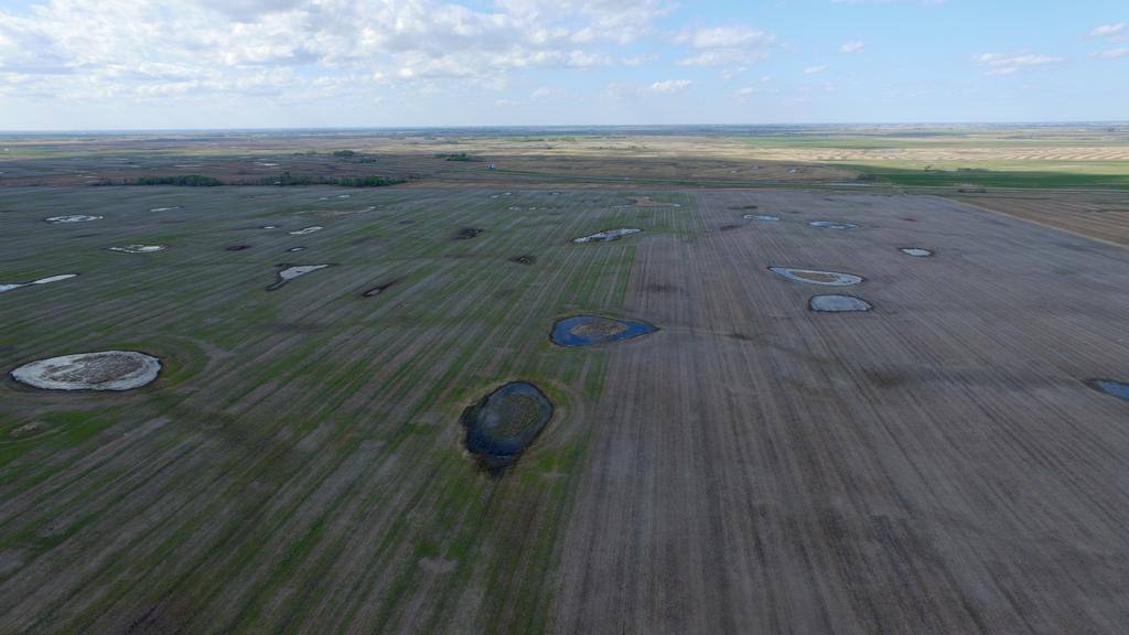 I think I know where the sprayer stopped with the Distinct last fall. <a href="/BASFAgSolutions/">BASF Agricultural Solutions Canada</a>