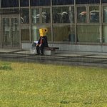 こんなとこになんかいるwこの黄色い正体は一体なんなのw