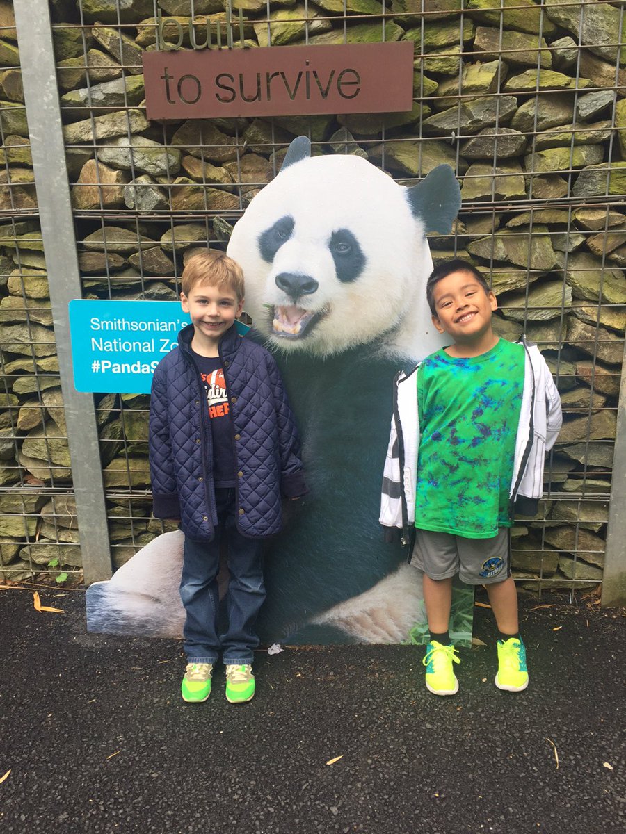 KWBwelsh's tweet photo. More from the zoo! #KWBpride https://t.co/oYpceYevQ1