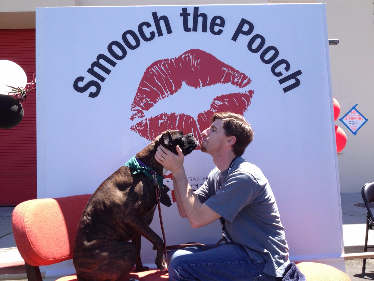 DMC_Ryan's tweet photo. From the @MaggieTheBoxer archives: Maggie manning the "Smooch the Pooch" booth at an @sfspca adoption festival, June 2012 (age 5) ❤️🐶 https://t.co/nMpYZcdFLr