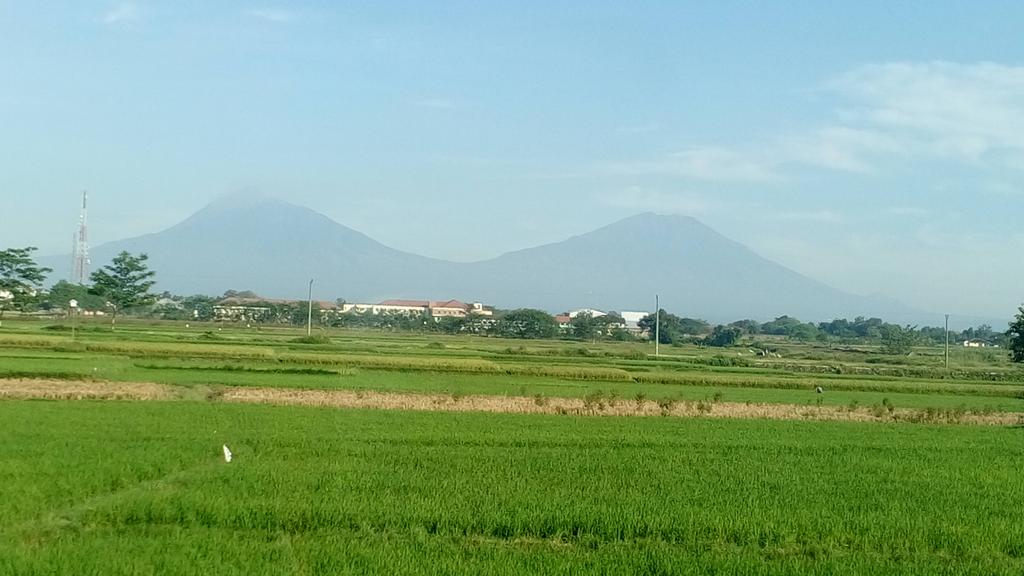 krishnaganteng1's tweet photo. @JogjaUpdate @KimKardashian @JLo @SoloUpdate Merapi-merbabu pagi ini https://t.co/0dL6kHxm0S