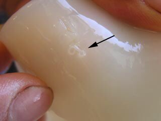 カトリーヌ 内藤 最近話題のアニサキスは2cmぐらいの寄生虫です イカなどであれば目で確認できます 生魚を食べて数時間 十数時間後に激しい胃痛 吐き気 嘔吐がありますが 下痢などはしません 加熱や冷凍で予防できますが 塩漬けや酢漬けなどは無効