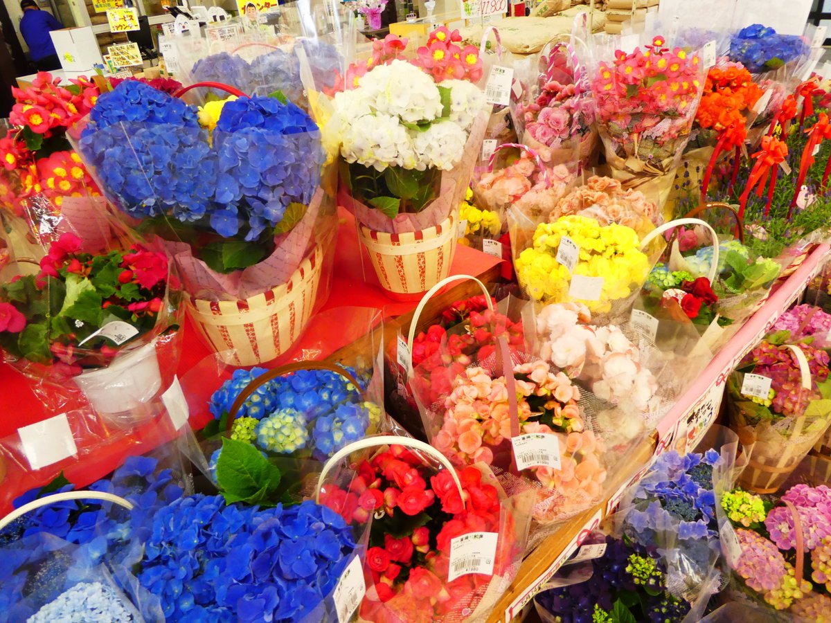 唐津うまかもん市場 母の日 お花もよかけど お肉もよかねぇ お寿司もよかねぇ お母さんに何をプレゼントしようかな っと考えてる時間も楽しいですね 本日も沢山のお花 お肉 お魚 取り揃えてお待ちしております 佐賀 唐津 唐津うまかも 唐津うまかもん市場 母の日 お花もよかけど お肉もよかねぇ お寿司もよかねぇ お母さんに何をプレゼントしようかな っと考えてる時間も楽しいですね 本日も沢山のお花 お肉 お魚 取り揃えてお待ちしております 佐賀 唐津 唐津うまかも