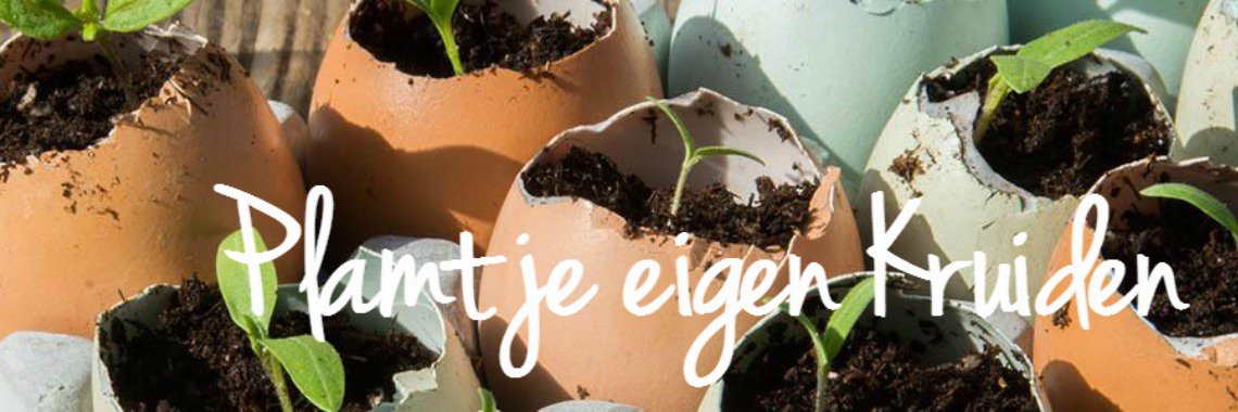 YoorsBlogGroep's tweet photo. " Kweek je eigen Kruiden .....        DIY " #Crafts &amp; Doe het zelf https://t.co/TUx9WZaOFD https://t.co/u8OHo2Hn2S
