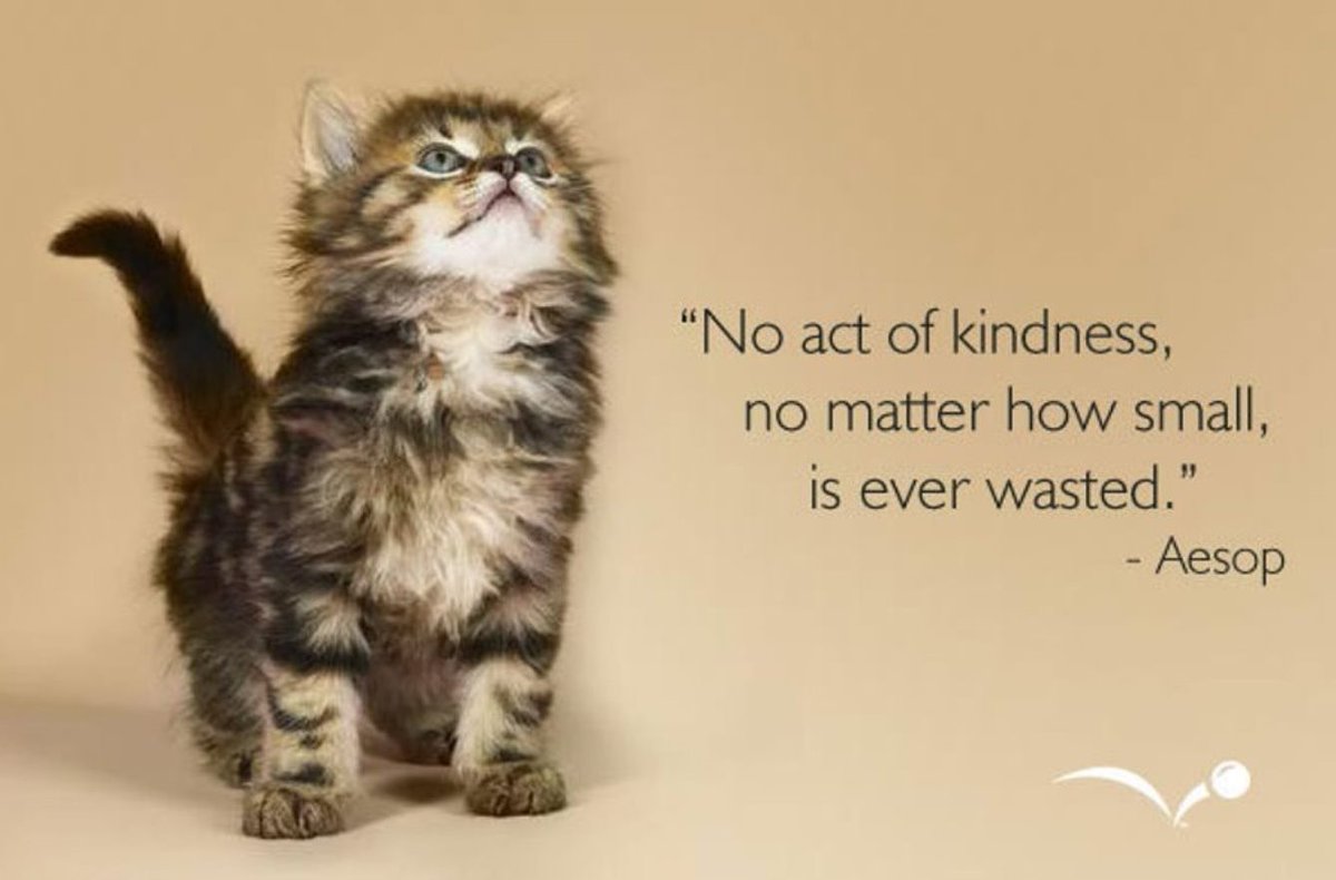 dddoey's tweet photo. No act of kindness, no matter how small, is ever wasted - Aesop https://t.co/hX9yu7hLyU