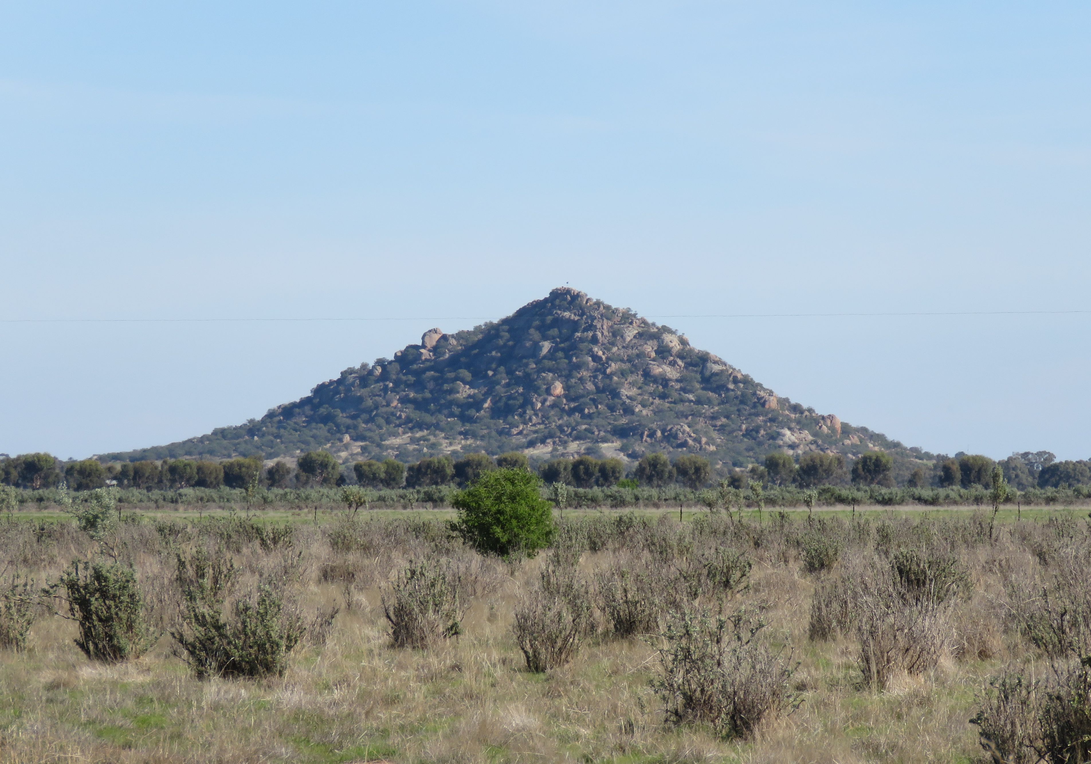 Stuart Williams on Twitter: "Pyramid Hill is a granite outcrop that rises  above the plains of northern Victoria. Let's see what's in flower there  right now ... https://t.co/SVQC8lPuJH" / Twitter