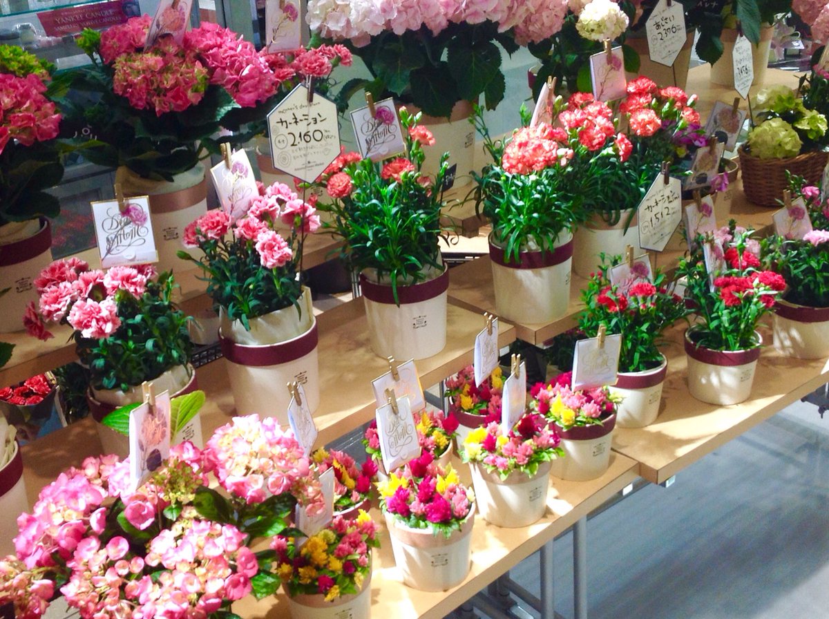 渋谷ヒカリエ Shinqsｰシンクスｰ 5 14 日 迄 青山フラワーマーケット ル クルーゼ 母の日 ギフト期間限定shop 母の日ギフトで1番人気のお花 2fでショップを展開している 青山フラワーマーケット がb1 アーバンコアでもpop Up展開中