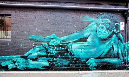 #Mural #streetart #Toowoomba #Australia #graffiti #art