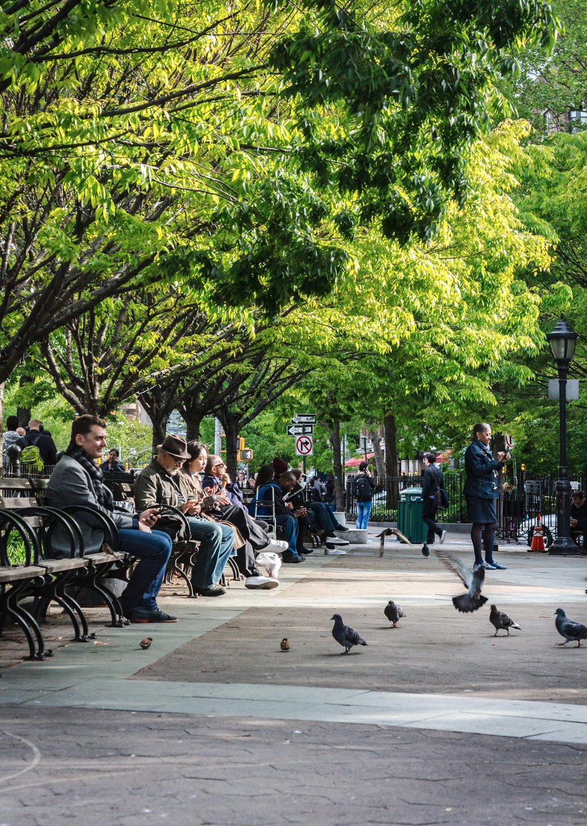 gracienycity's tweet photo. #TodayinNY #NYC #NewYorkCity #FatherDemoSquare #park #intermission #citylife #streetlife #streetphotography #streetphotographer #photography https://t.co/KjpL74Alu8