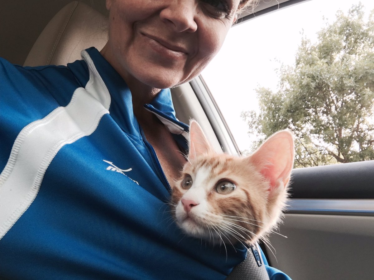 HeroThanks's tweet image. #HeroThanks - because there are heroes all around you. carrytheload.org/goto/chaplaina… - support Chaplains who love God &amp;amp; love their country. 🇺🇸