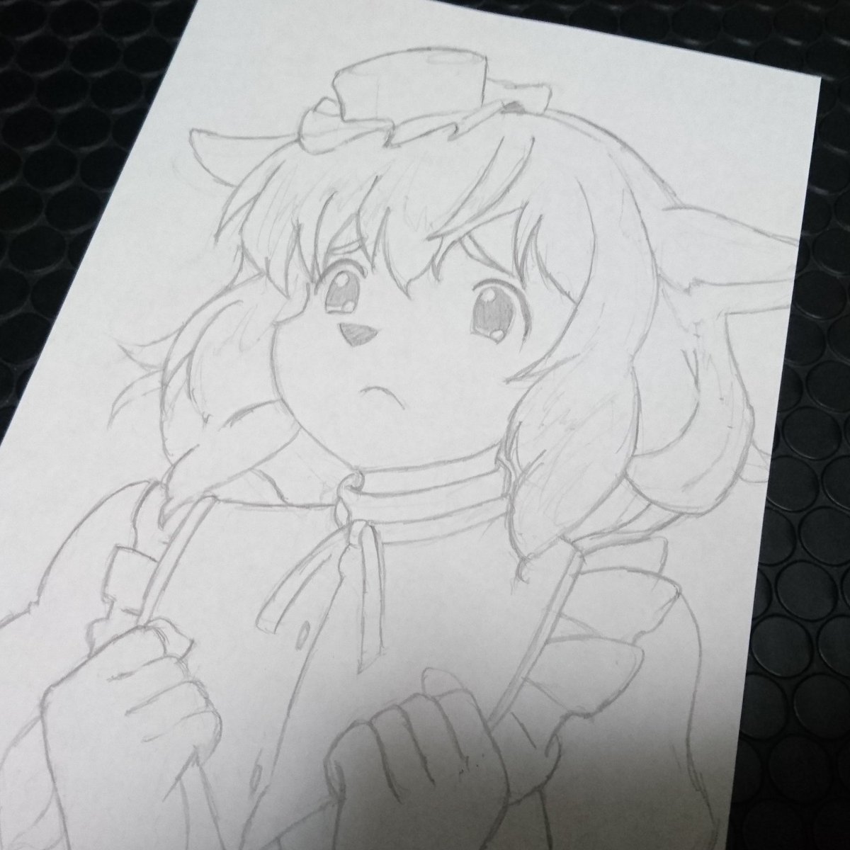 フィラコルリビアドリオ フィラコルリビアドリオ