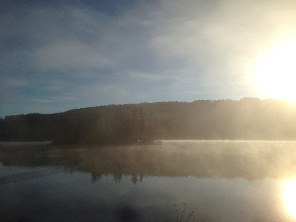 LineTHagen's tweet image. 