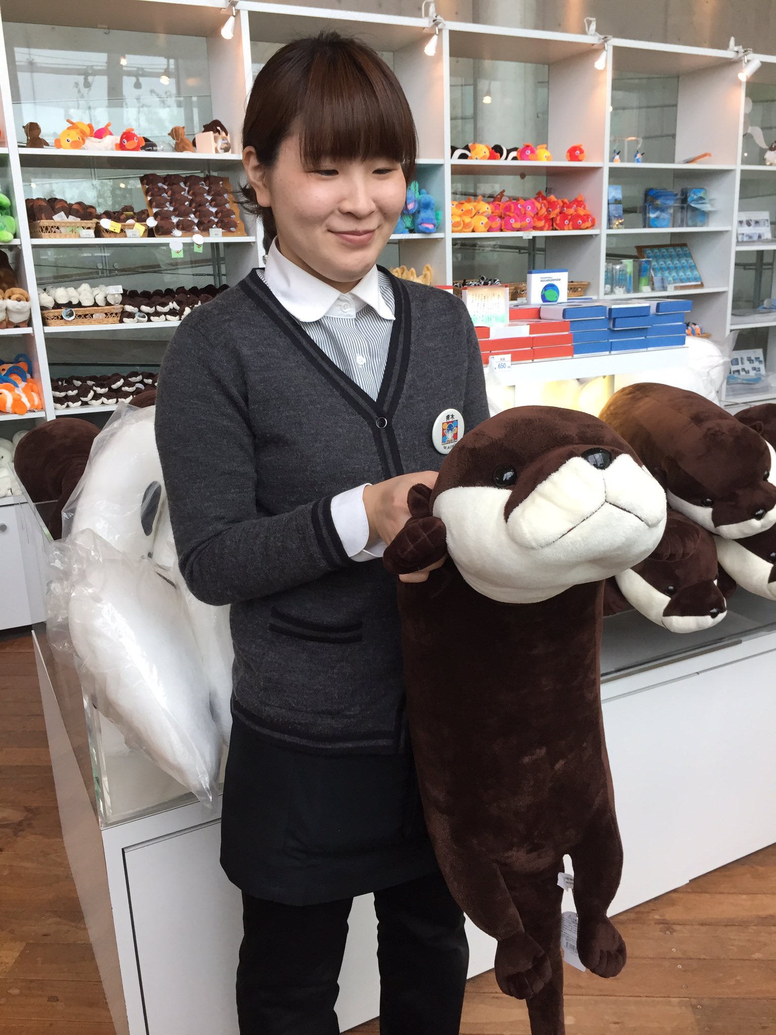 大きなカワウソぬいぐるみ水族館くじ1等賞 かわうそ