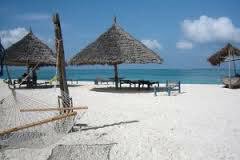 TravelNeza tweet media