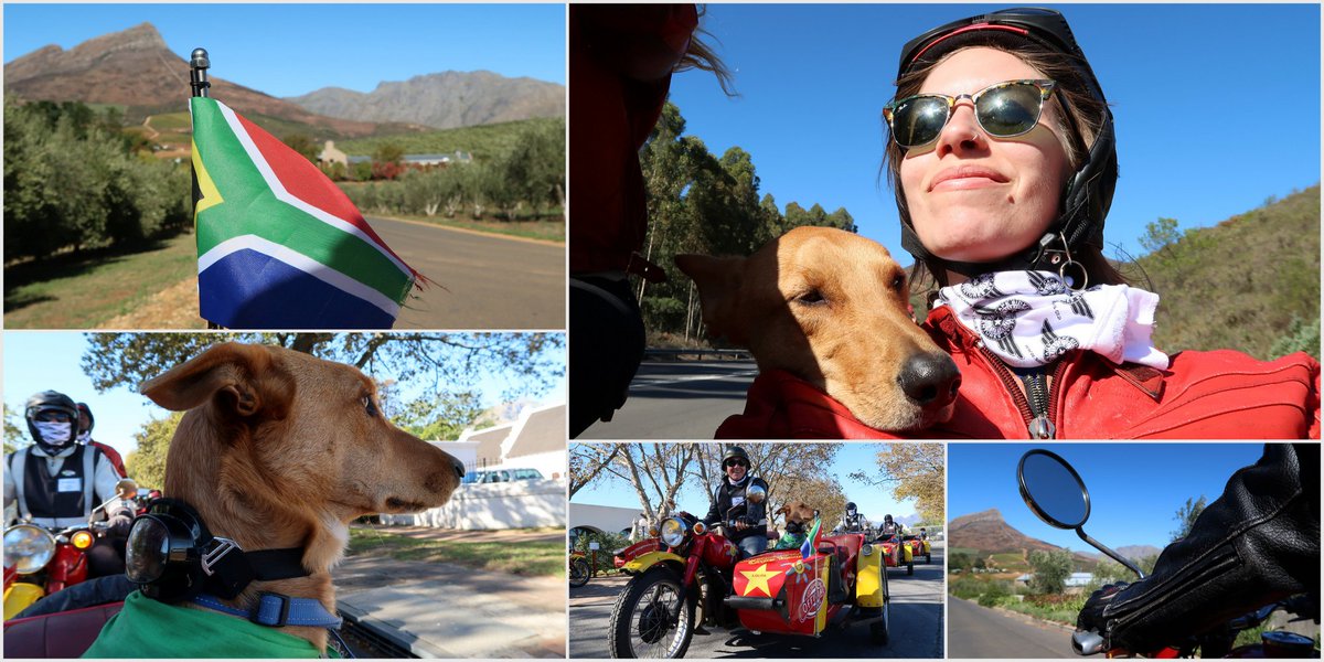 Because sidecar rides with Brody are the best! 💛 #Stellenblog @capesidecars