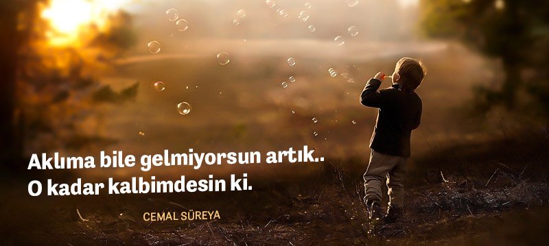 Aklıma bile gelmiyorsun artık...
O kadar kalbimdesin ki.

Cemal Süreya