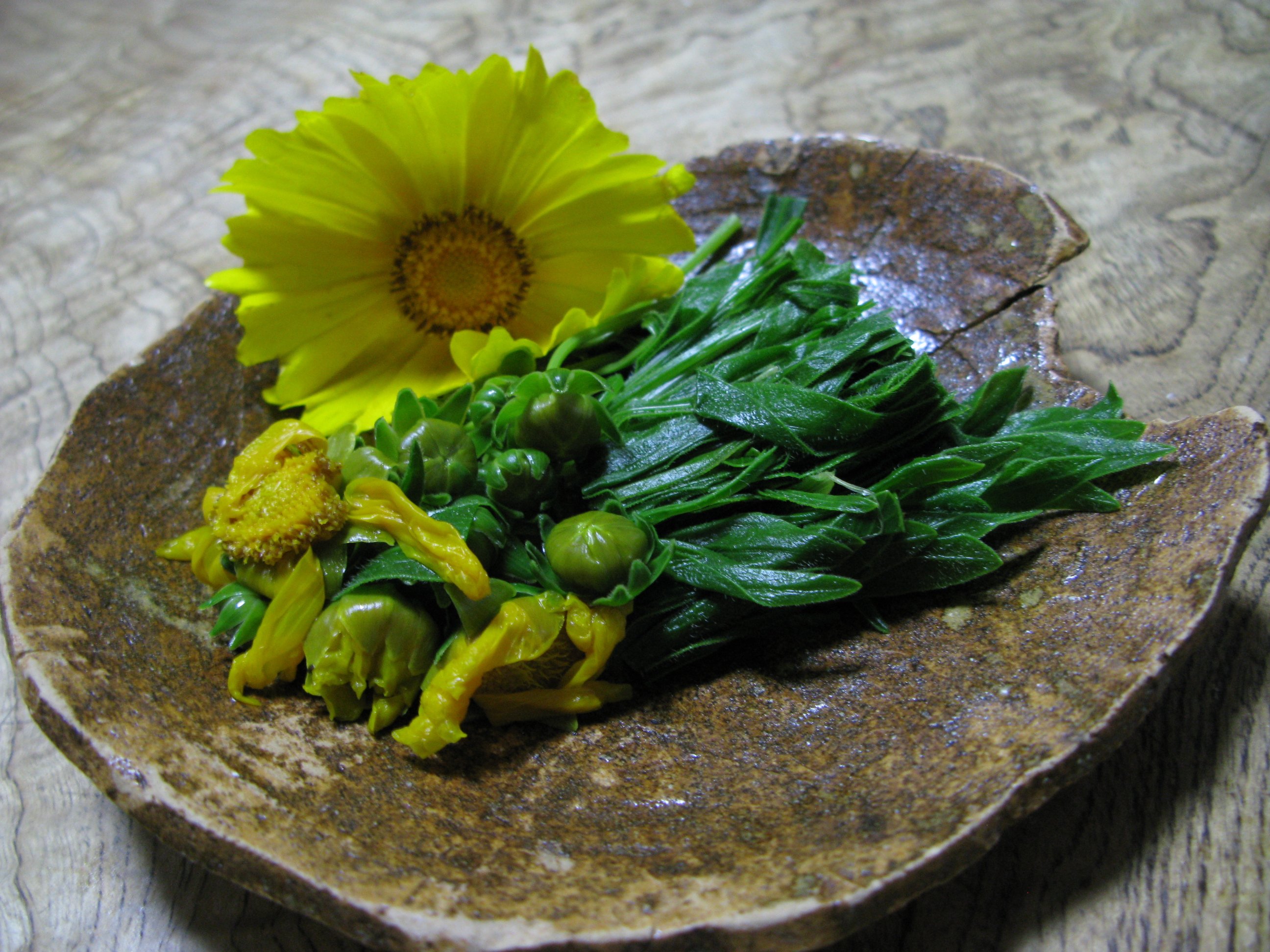 道草を食う人 もやし オオキンケイギクを食べてみた 味は春菊に似ているが苦味がある 葉や茎は固くけばけばしているので 花 や蕾の方が食べやすかった 葉は天ぷら 茎はきんぴら 花や蕾はおひたしなどが向いていると思う 駆除ついでにいろいろな